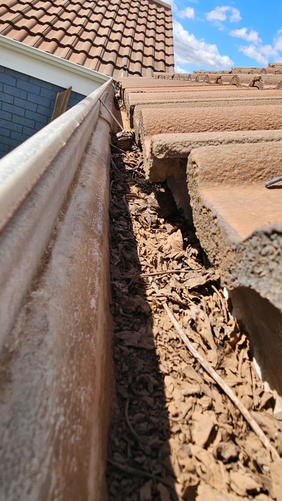 Close up photo inside gutter track filled with dry leaves and organic blockage